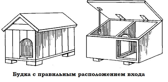 shema-sobachey-budki