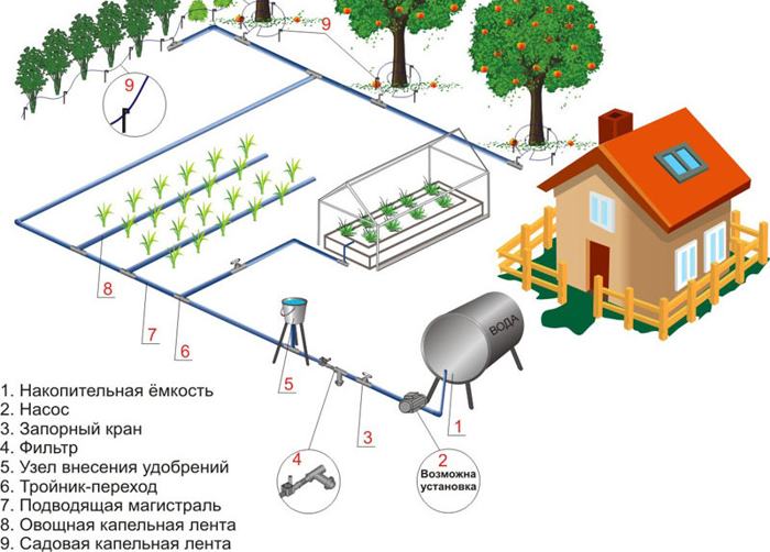 Схема организации капельного полива